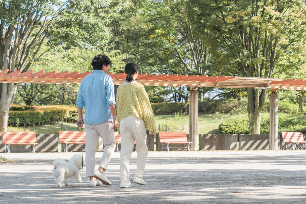 11月といえばいい夫婦の日