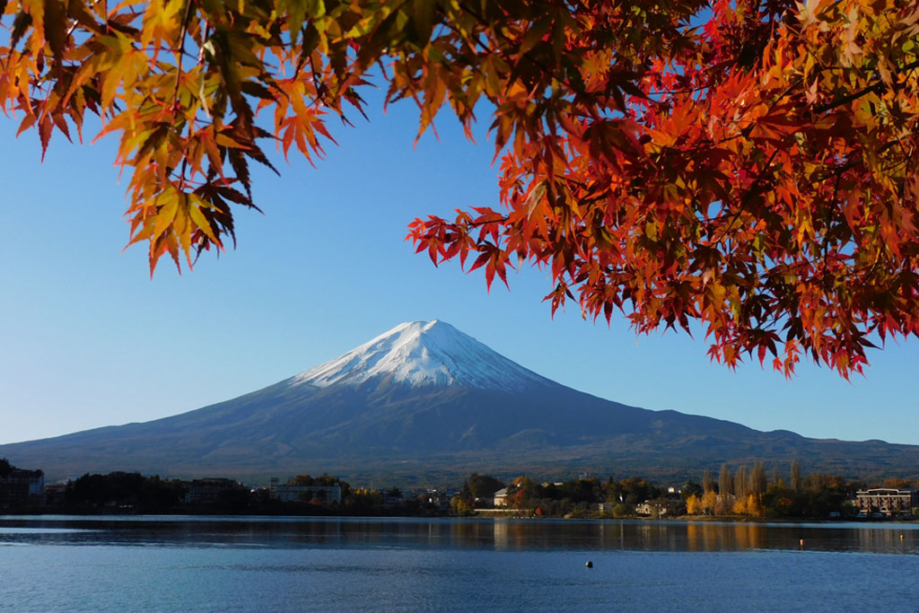 11月といえばイベント・行事は？祝日や記念日が盛りだくさんの11月