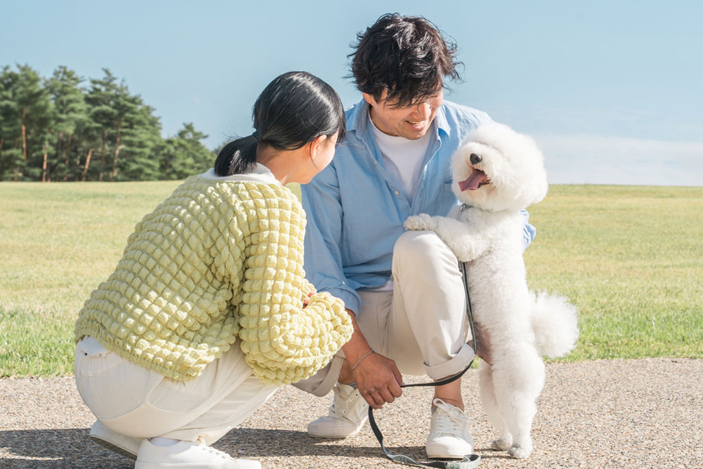 結婚14周年「象牙婚式」とは?