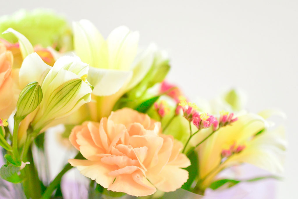 82歳はどうやってお祝いする？長寿祝いの名前一覧とおすすめのプレゼントをご紹介