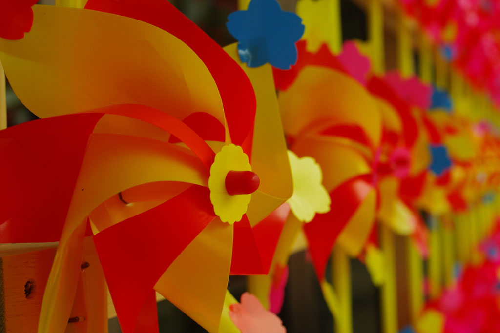 沖縄では「カジマヤー」と呼ばれる特別な年