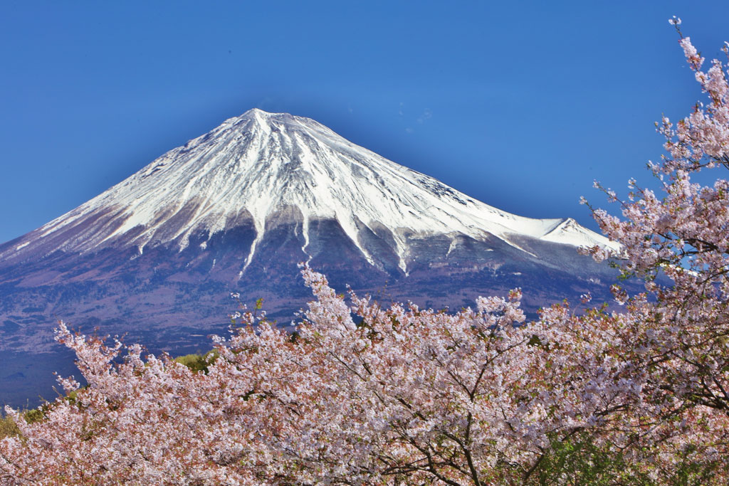 富士山はなぜ縁起が良いの?おめでたいと言われる理由をご紹介します