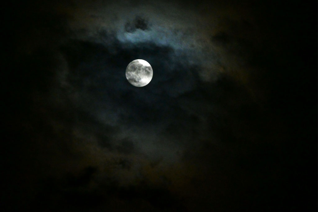 鬼宿日(きしゅくにち)とは?