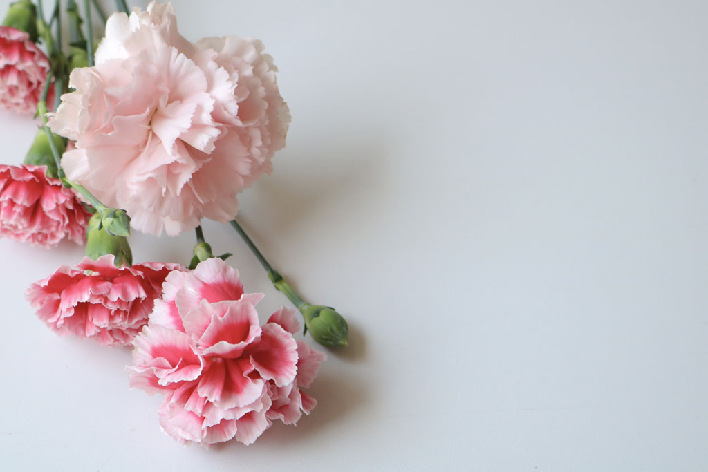 【母の日】70代の義母に喜ばれるプレゼント特集!上品で心のこもったギフトの選び方とおすすめ商品をご紹介します