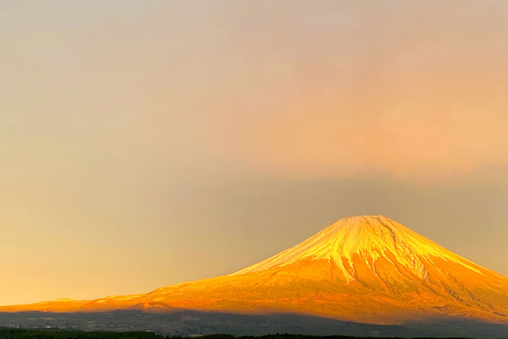 金運アップに人気のラッキーモチーフは?日本と世界で大切にされている縁起物をご紹介