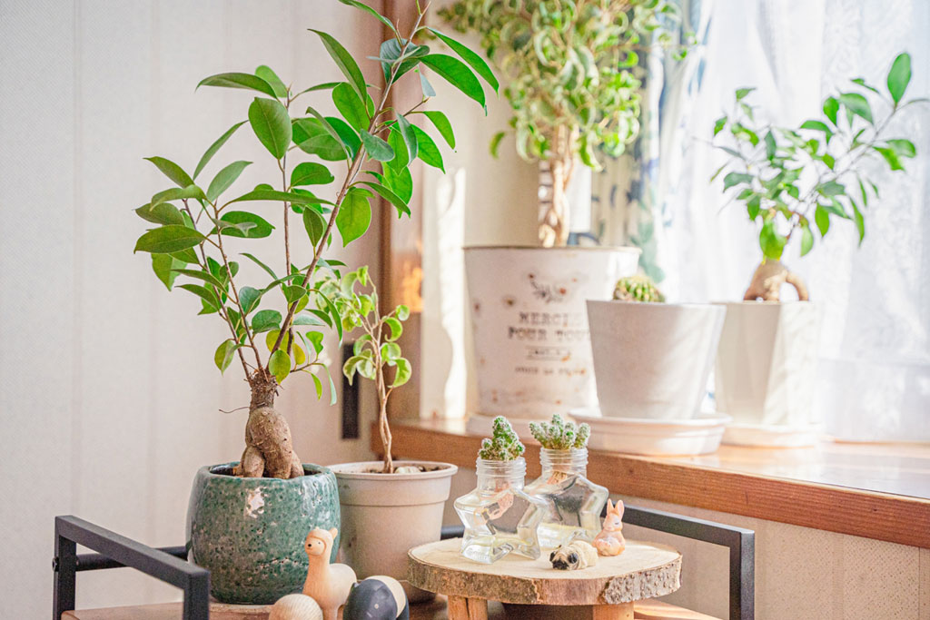 風水で金運アップを目指すならやりたいこと＆おすすめインテリアをご