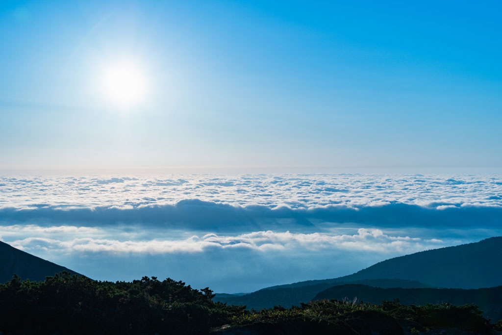 天恩日にやるといいことは？