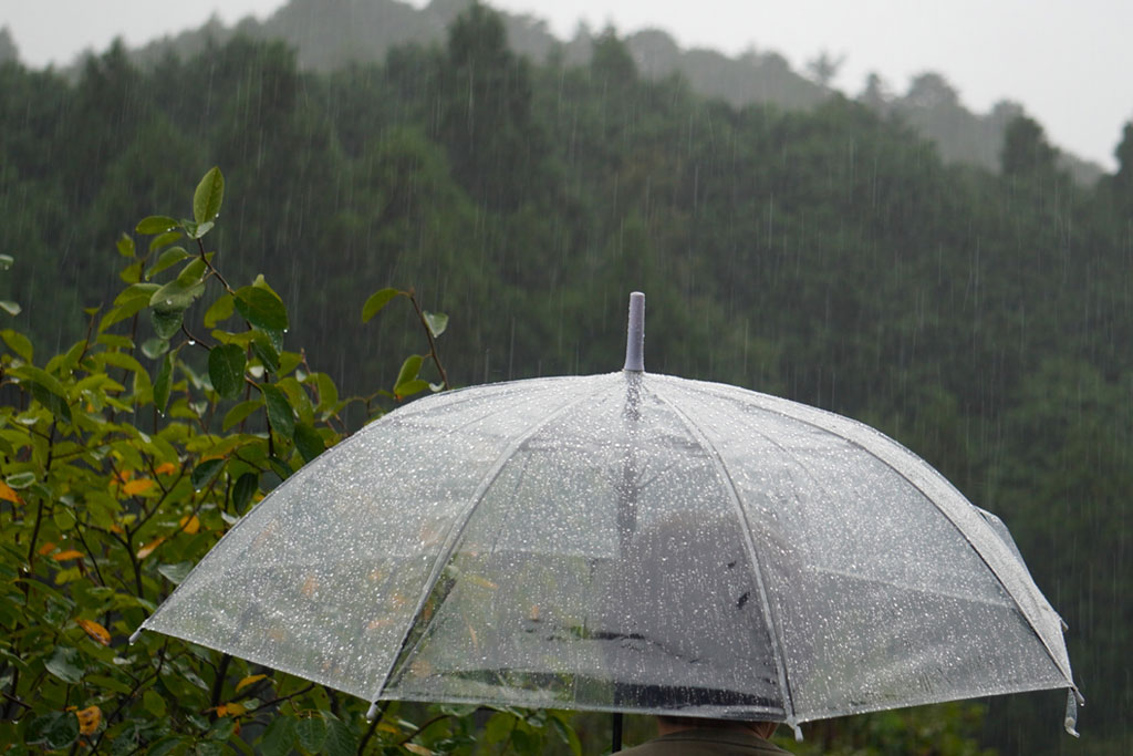 霞と霧の違いは？