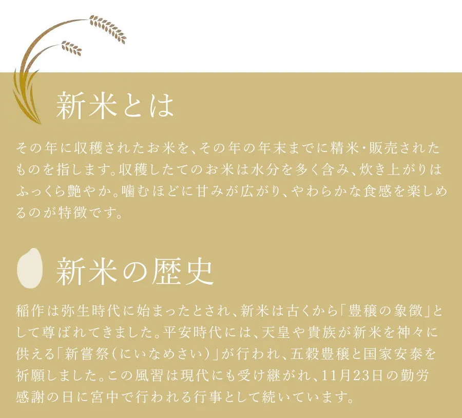 新米とは：その年に収穫されたお米を、その年の年末までに精米・販売されたものを指します。収穫したてのお米は水分を多く含み、炊き上がりはふっくら艶やか。噛むほどに甘みが広がり、やわらかな食感を楽しめるのが特徴です。　新米の歴史：稲作は弥生時代に始まったとされ、新米は古くから「豊穣の象徴」として尊ばれてきました。平安時代には、天皇や貴族が新米を神々に供える「新嘗祭（にいなめさい）」が行われ、五穀豊穣と国家安泰を祈願しました。この風習は現代にも受け継がれ、11月23日の勤労感謝の日に宮中で行われる行事として続いています。
