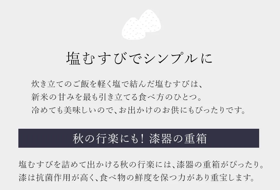 新米のおすすめの味わい方②塩むすびでシンプルに