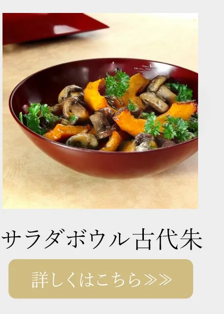 サラダボウル古代朱