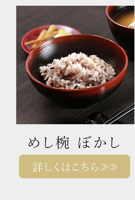 めし椀　ぼかし